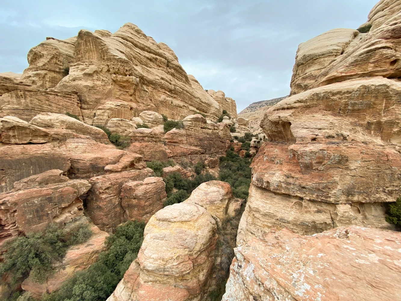 Voyage 100% Nature en Jordanie