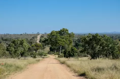 Piste du parc Kruger - Afrique du Sud