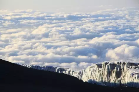 Glaciers sommitaux du Kilimanjaro - Tanzanie