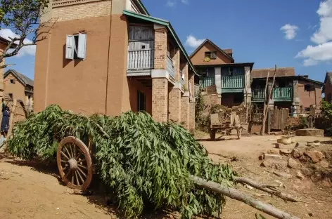 Découverte de la filière de la soie dans la région de Manandriana - Madagascar