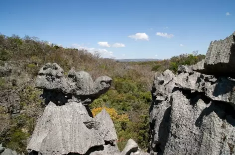 Tsingy du Parc national de l'Ankarana - Madagascar