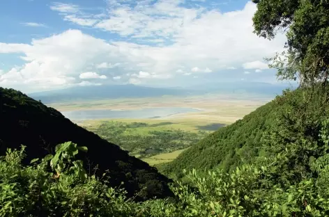 Caldeira du Ngorongoro - Tanzanie - 