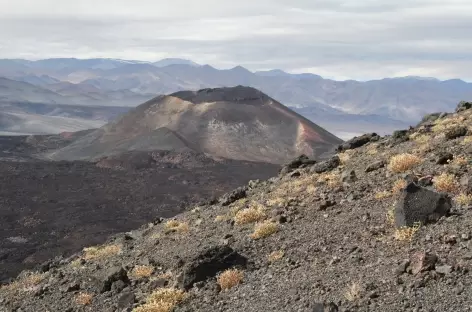 Argentine, volcan Carachi Pampa dans la Puna
