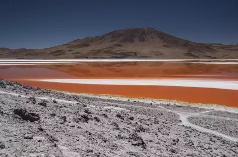 La laguna Colorada - Bolivie