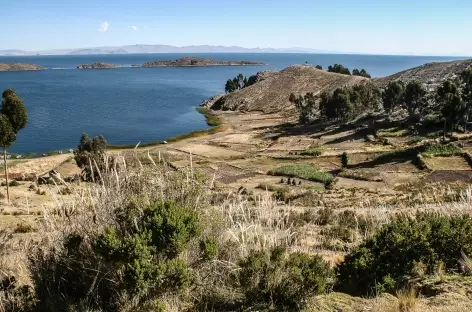 Lac Titicaca, marche vers Yampupata - Bolivie