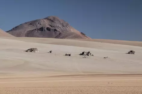 Le désert de Dali - Bolivie
