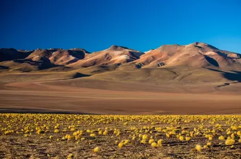 Paysage du Sud Lipez - Bolivie
