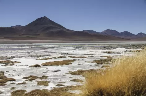 Laguna Blanca - Bolivie