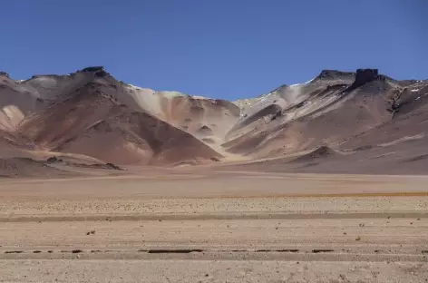 Désert de Dali - Bolivie