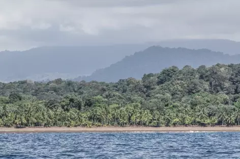 Côte sauvage du Pacifique - Colombie