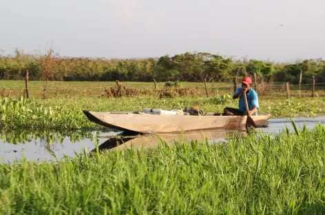 Balade en bateau dans les marais de Pijino - Colombie