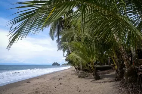 Plage du Choco - COlombie - 