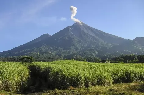 Le Fuego et son panache de fumée - Guatemala