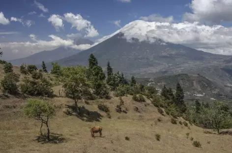 Début de la randonnée sur le volcan Pacaya - Guatemala
