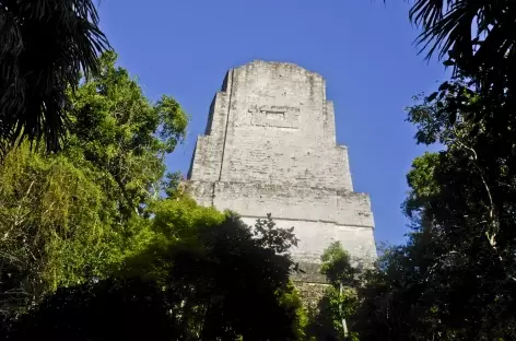 Site maya de Tikal - Guatemala