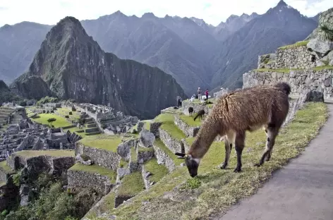 Le Machu Picchu - Pérou