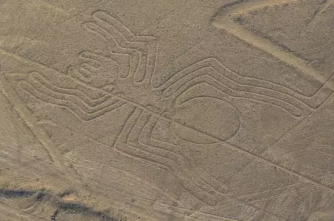 Les mystérieux géoglyphes de la civilisation de Nazca (survol en option) - Pérou