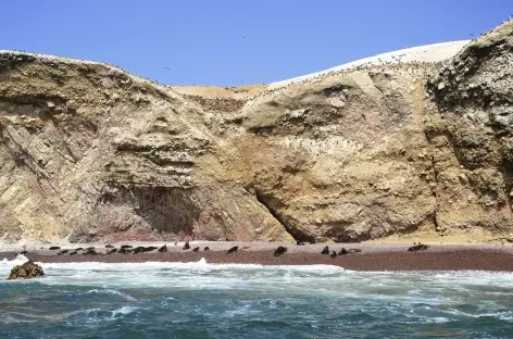 Balade en bateau dans les îles Ballestas - Pérou 