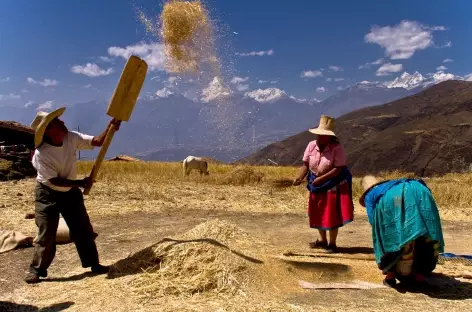 Activité agricole dans la Cordillère Noire - Pérou