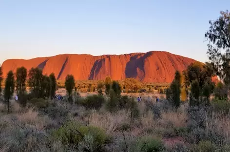 Ulura au petit matin - Australie