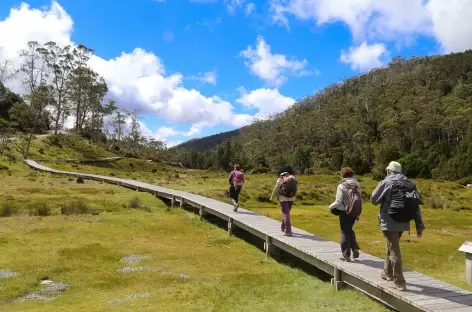 Parc national de Cradel Mountain - Tasmanie