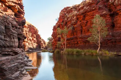 Gorge Knox, PN Karijini - 