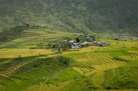 Paysage des vallées  - Bhoutan