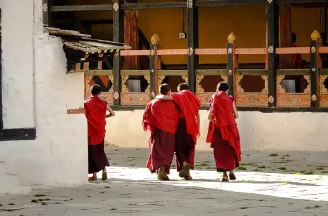Moines au Dzong de Paro - Bhoutan
