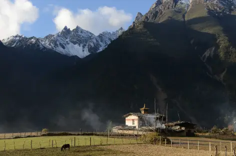 Plateau de Laya  - Bhoutan