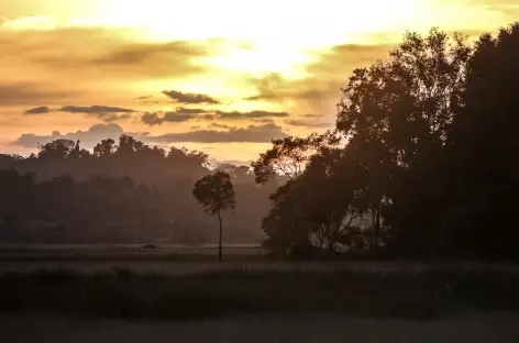 Coucher de soleil sur la campagne cambodgienne - Cambodge - 
