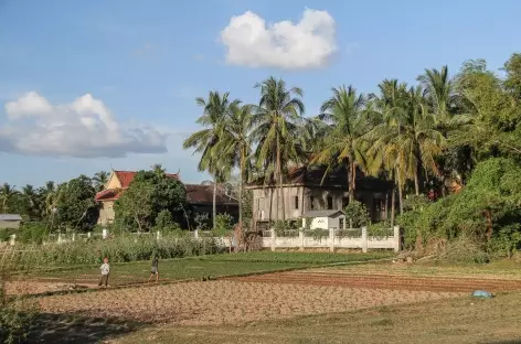 Campagne sur l'île de Koh Trong - Cambodge