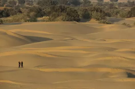 Balade dans le désert du Thar - Rajasthan, Inde