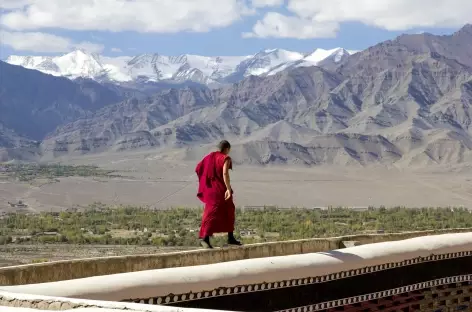 Moine au dessus de la plaine - Ladakh - Inde