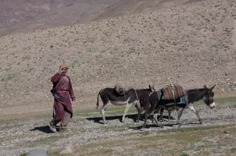Vie de village - Ladakh - Inde