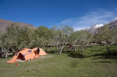 Camp ombragé - Ladakh - Inde