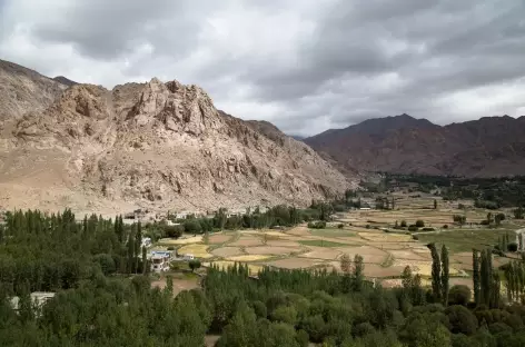 Vallée de L'Indus  - Ladakh - Inde