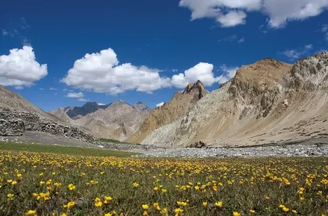 Vers le Sniougoutse La, Ladakh, Zanskar- Inde