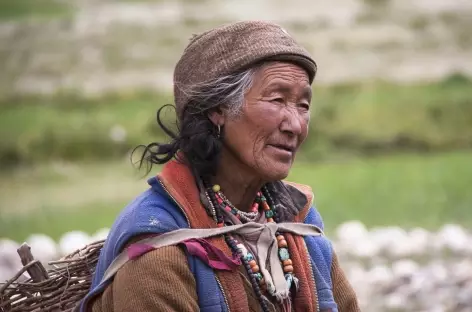 Femme qui rentre du champ, Ladakh, Zanskar- Inde