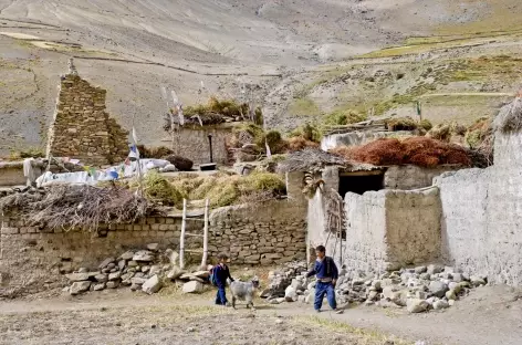 Enfants de Photoksar, Zanskar - Inde