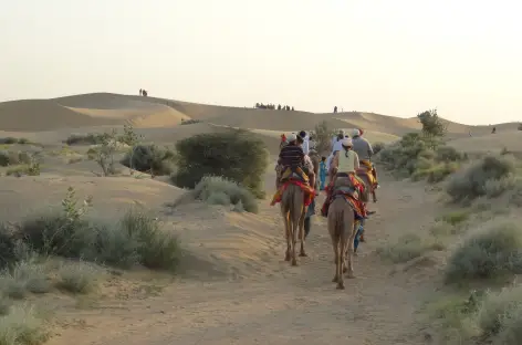Coucher de soleil sur les dunes à Jaisalmer - Inde - 