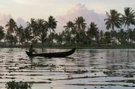 Pêcheur dans les backwaters  - Inde - 