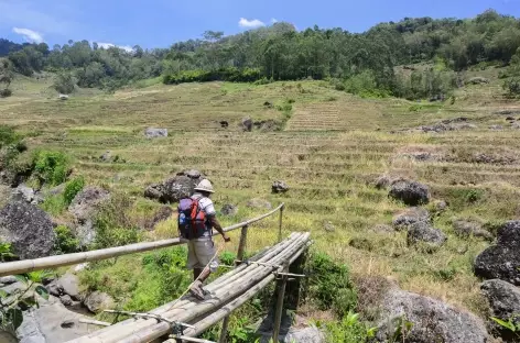 Vers les jolies rizières de Salu, Pays Toraja, Sulawesi - Indonésie