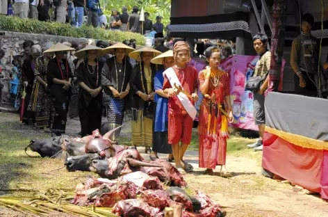 Cérémonie funéraire toraja, Sulawesi - Indonésie