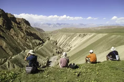 Canyon Ming Jar - Kirghizie