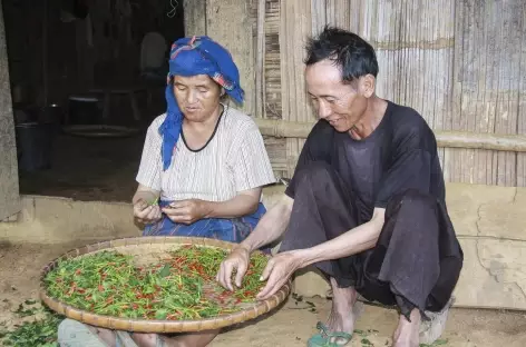 Le tri des piments au village de Ban Vieng - Laos