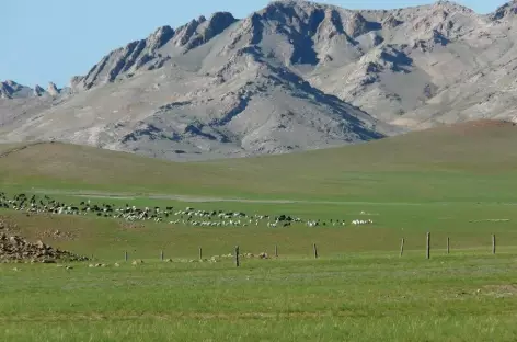 Mörön - Mongolie