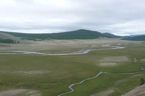 Marécages près de Mörön - Mongolie