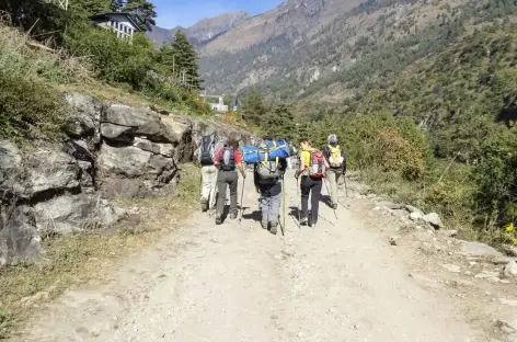 Large chemin vers Timang - Népal