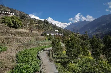 Paysage typique de ce flanc Sud des Annapurnas