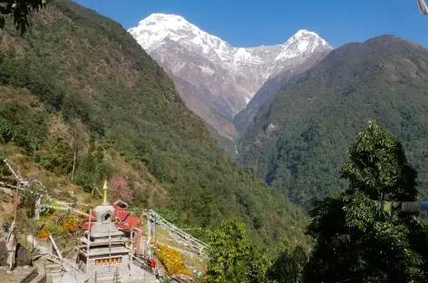 Annapurna Sud depuis Chomrong